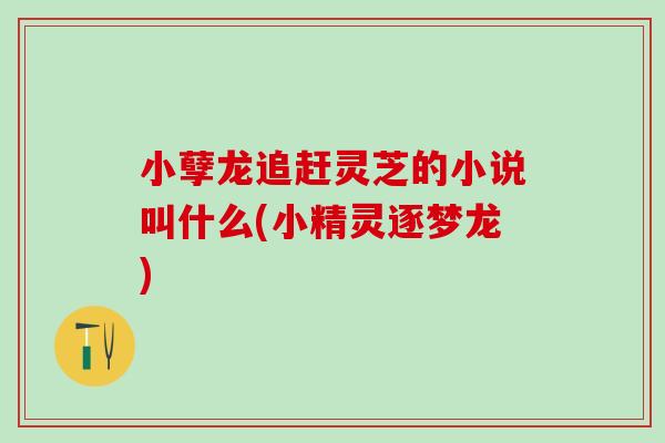 小孽龙追赶灵芝的小说叫什么(小精灵逐梦龙)