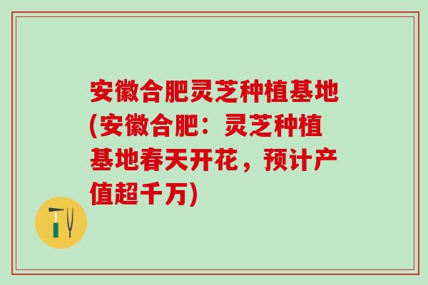 安徽合肥灵芝种植基地(安徽合肥：灵芝种植基地春天开花，预计产值超千万)