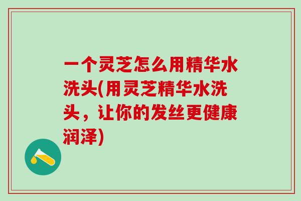 一个灵芝怎么用精华水洗头(用灵芝精华水洗头，让你的发丝更健康润泽)