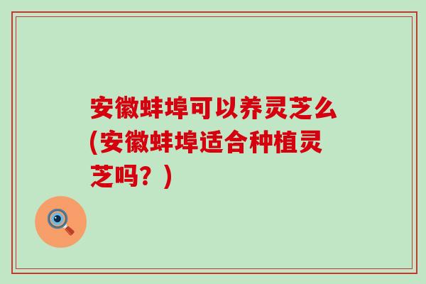 安徽蚌埠可以养灵芝么(安徽蚌埠适合种植灵芝吗？)