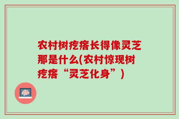 农村树疙瘩长得像灵芝那是什么(农村惊现树疙瘩“灵芝化身”)