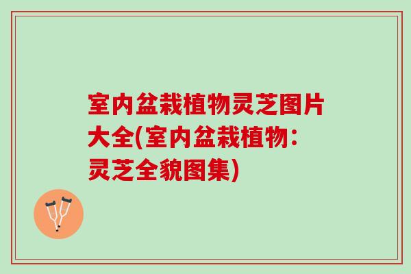 室内盆栽植物灵芝图片大全(室内盆栽植物：灵芝全貌图集)