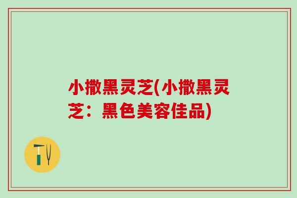 小撒黑灵芝(小撒黑灵芝：黑色美容佳品)