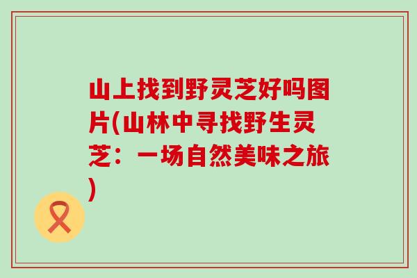 山上找到野灵芝好吗图片(山林中寻找野生灵芝:一场自然美味之旅) 山上找到野灵芝好吗图片(山林中寻找野生灵芝:一场自然美味之旅)