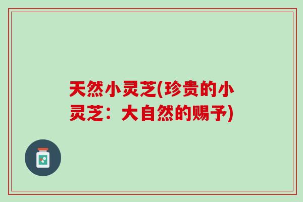 天然小灵芝(珍贵的小灵芝：大自然的赐予)