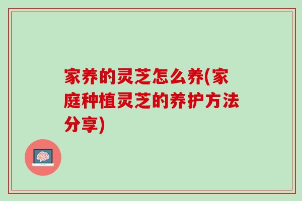 家养的灵芝怎么养(家庭种植灵芝的养护方法分享)
