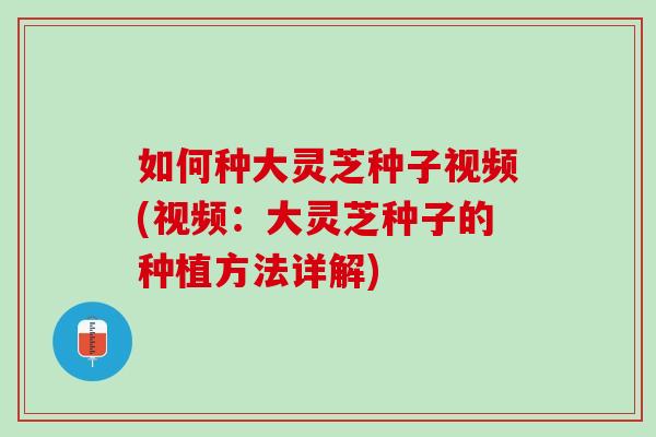 如何种大灵芝种子视频(视频：大灵芝种子的种植方法详解)