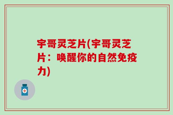 宇哥灵芝片(宇哥灵芝片：唤醒你的自然免疫力)