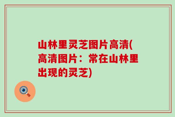 山林里灵芝图片高清(高清图片：常在山林里出现的灵芝)