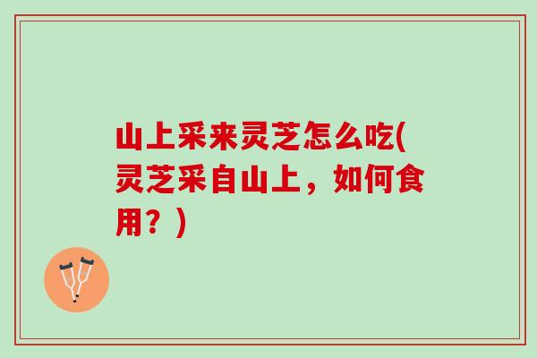 山上采来灵芝怎么吃(灵芝采自山上，如何食用？)