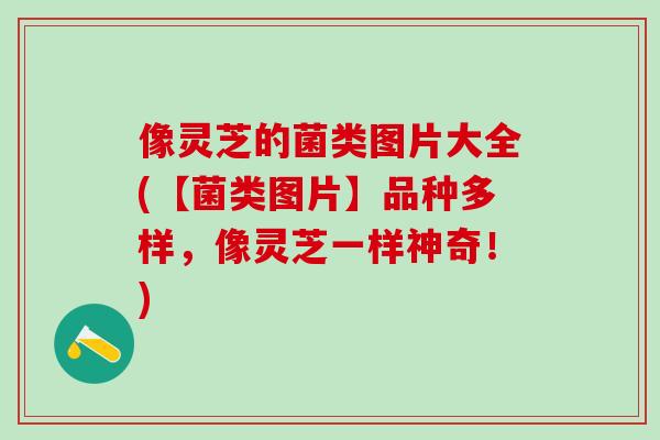 像灵芝的菌类图片大全(【菌类图片】品种多样，像灵芝一样神奇！)