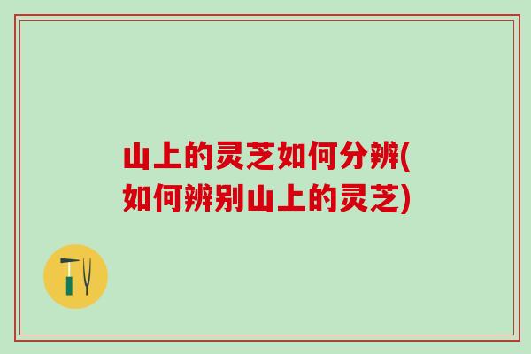 山上的灵芝如何分辨(如何辨别山上的灵芝)