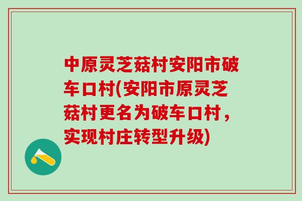 中原灵芝菇村安阳市破车口村(安阳市原灵芝菇村更名为破车口村，实现村庄转型升级)