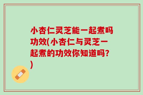 小杏仁灵芝能一起煮吗功效(小杏仁与灵芝一起煮的功效你知道吗？)