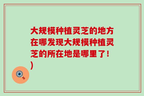大规模种植灵芝的地方在哪发现大规模种植灵芝的所在地是哪里了！)