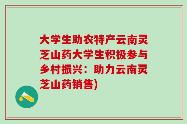 大学生助农特产云南灵芝山药大学生积极参与乡村振兴：助力云南灵芝山药销售)