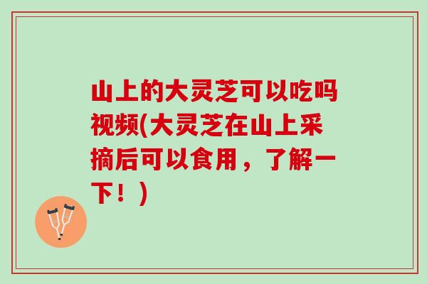 山上的大灵芝可以吃吗视频(大灵芝在山上采摘后可以食用，了解一下！)