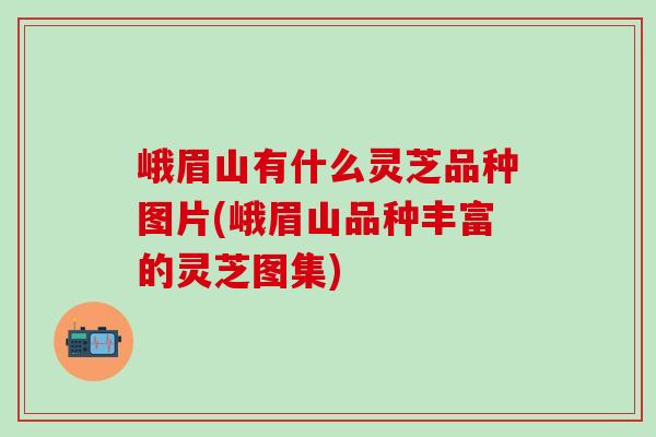 峨眉山有什么灵芝品种图片(峨眉山品种丰富的灵芝图集) 峨眉山有什么灵芝品种图片(峨眉山品种丰富的灵芝图集)