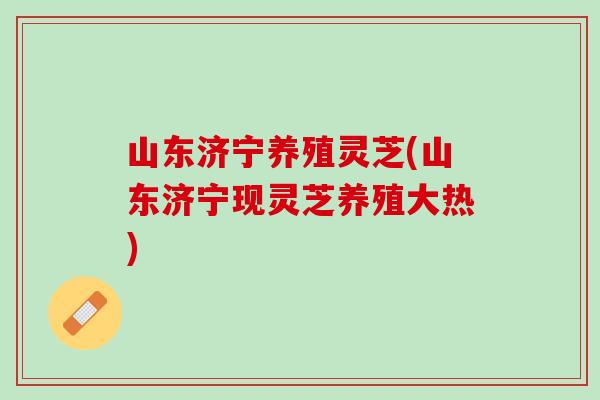 山东济宁养殖灵芝(山东济宁现灵芝养殖大热)