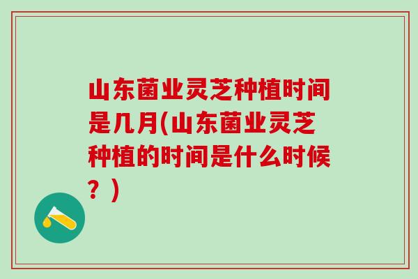 山东菌业灵芝种植时间是几月(山东菌业灵芝种植的时间是什么时候？)
