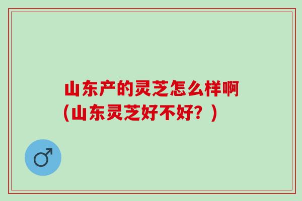 山东产的灵芝怎么样啊(山东灵芝好不好？)