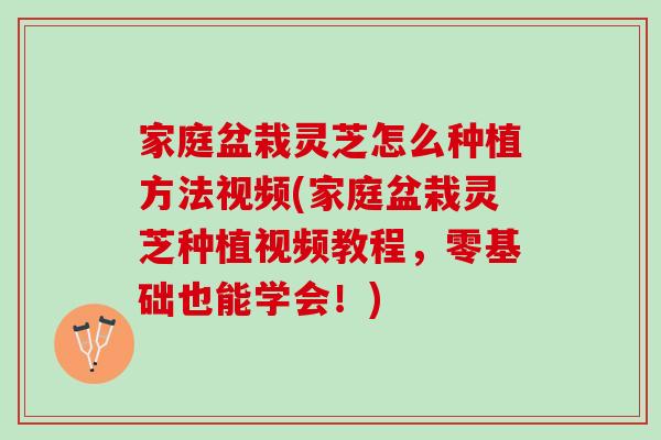 家庭盆栽灵芝怎么种植方法视频(家庭盆栽灵芝种植视频教程，零基础也能学会！)
