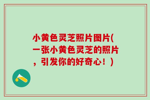 小黄色灵芝照片图片(一张小黄色灵芝的照片，引发你的好奇心！)