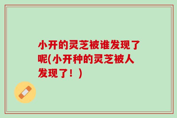 小开的灵芝被谁发现了呢(小开种的灵芝被人发现了！)
