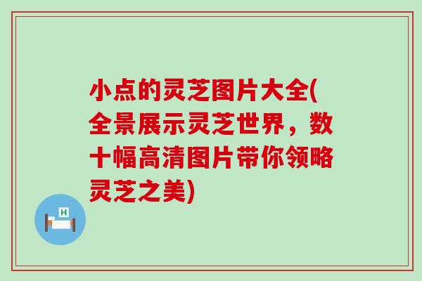 小点的灵芝图片大全(全景展示灵芝世界，数十幅高清图片带你领略灵芝之美)