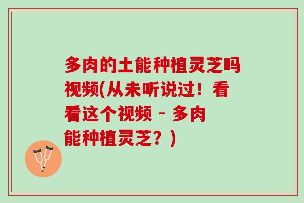 多肉的土能种植灵芝吗视频(从未听说过！看看这个视频 - 多肉能种植灵芝？)