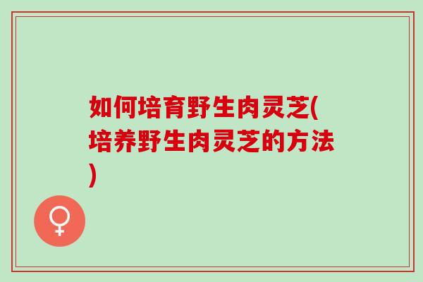 如何培育野生肉灵芝(培养野生肉灵芝的方法)