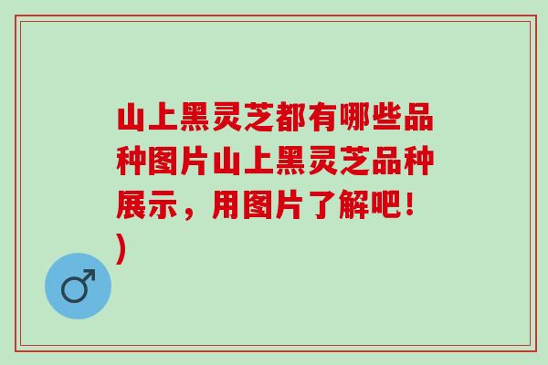 山上黑灵芝都有哪些品种图片山上黑灵芝品种展示，用图片了解吧！)