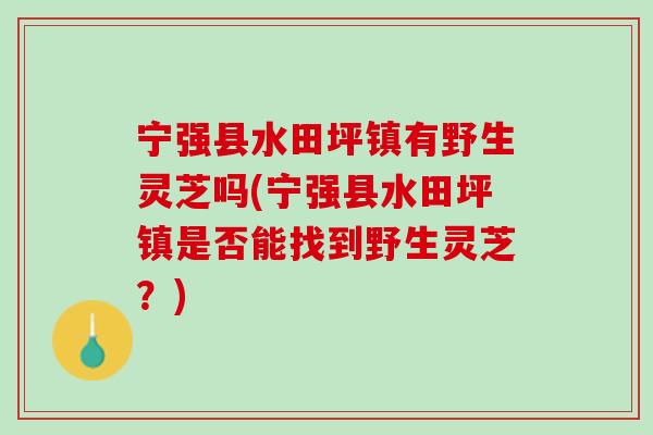 宁强县水田坪镇有野生灵芝吗(宁强县水田坪镇是否能找到野生灵芝？)