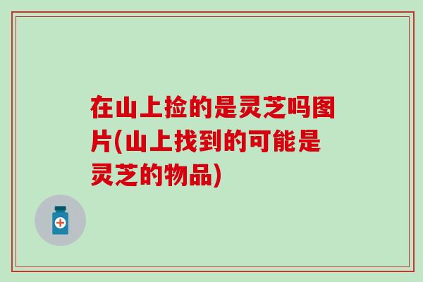 在山上捡的是灵芝吗图片(山上找到的可能是灵芝的物品)
