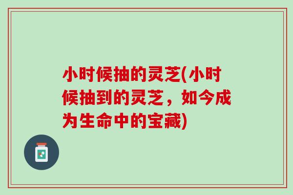 小时候抽的灵芝(小时候抽到的灵芝，如今成为生命中的宝藏)