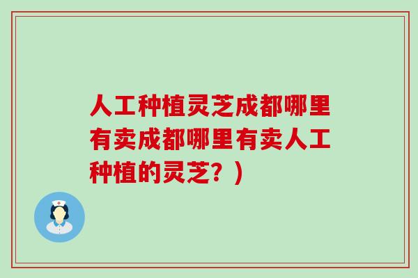 人工种植灵芝成都哪里有卖成都哪里有卖人工种植的灵芝？)