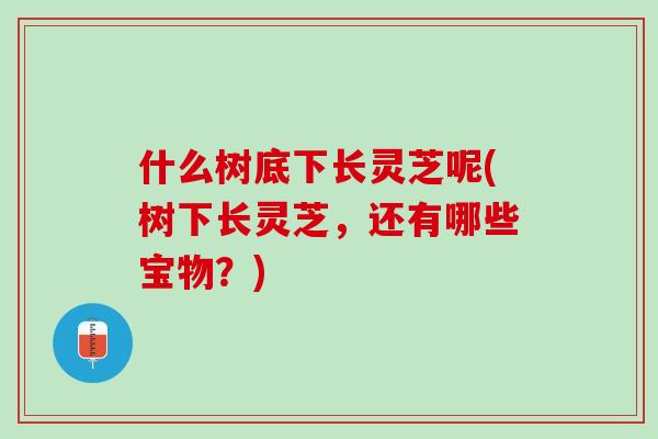 什么树底下长灵芝呢(树下长灵芝，还有哪些宝物？)