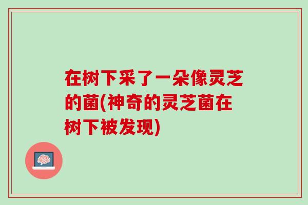 在树下采了一朵像灵芝的菌(神奇的灵芝菌在树下被发现)