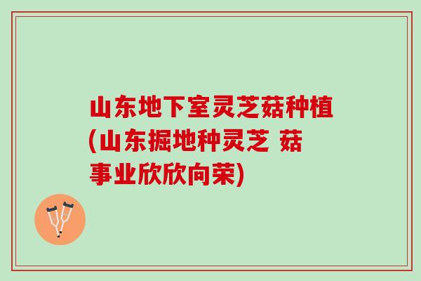 山东地下室灵芝菇种植(山东掘地种灵芝 菇事业欣欣向荣)