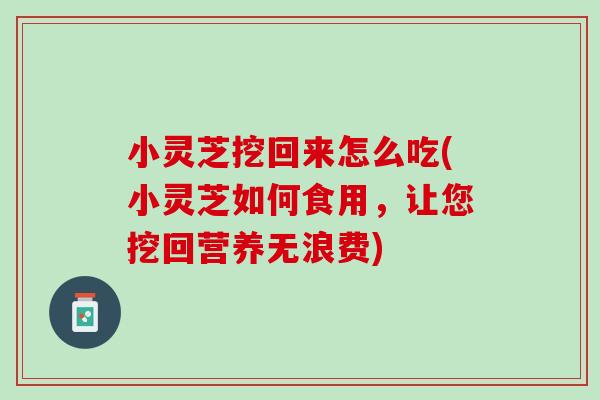小灵芝挖回来怎么吃(小灵芝如何食用，让您挖回营养无浪费)