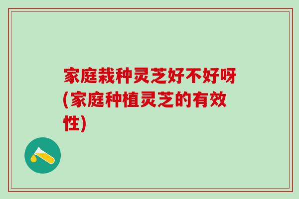家庭栽种灵芝好不好呀(家庭种植灵芝的有效性)