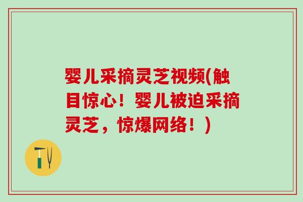 婴儿采摘灵芝视频(触目惊心！婴儿被迫采摘灵芝，惊爆网络！)
