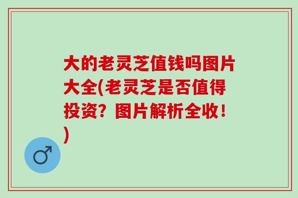 大的老灵芝值钱吗图片大全(老灵芝是否值得投资？图片解析全收！)