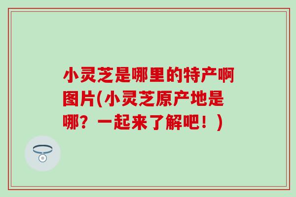 小灵芝是哪里的特产啊图片(小灵芝原产地是哪？一起来了解吧！)