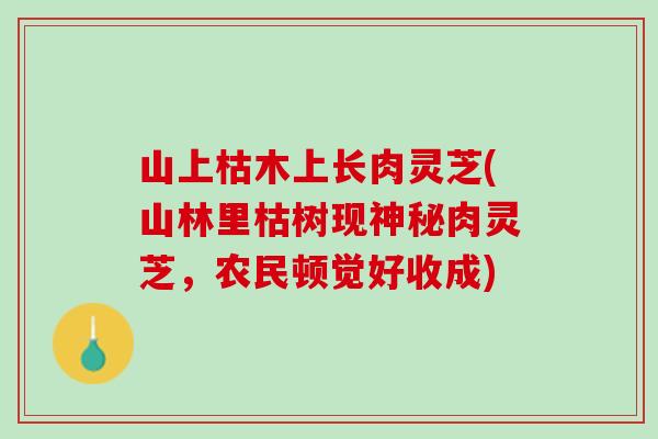 山上枯木上长肉灵芝(山林里枯树现神秘肉灵芝，农民顿觉好收成)