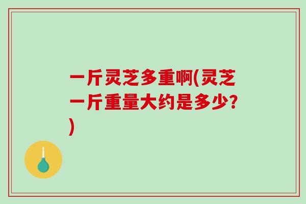 一斤灵芝多重啊(灵芝一斤重量大约是多少？)