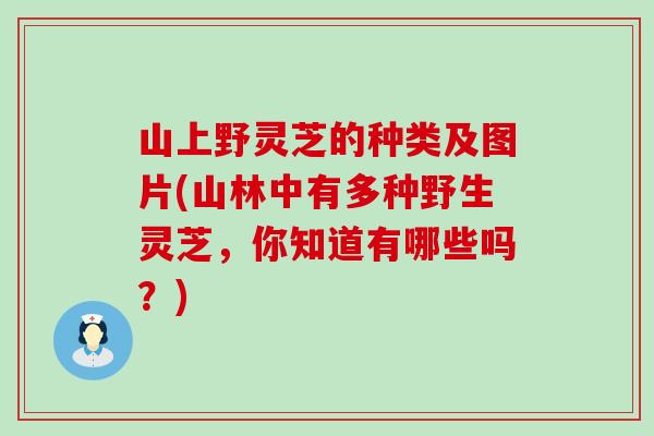 山上野灵芝的种类及图片(山林中有多种野生灵芝，你知道有哪些吗？)