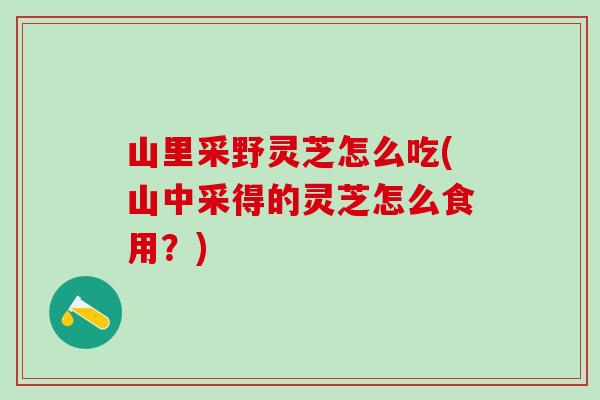 山里采野灵芝怎么吃(山中采得的灵芝怎么食用？)