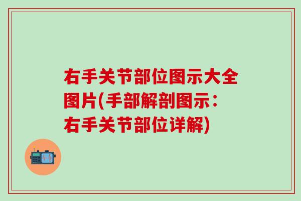 右手关节部位图示大全图片(手部解剖图示：右手关节部位详解)