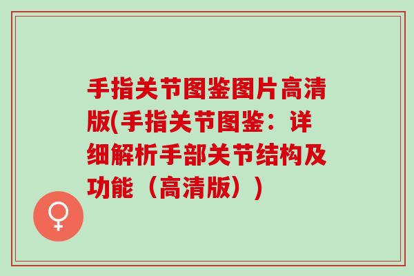 手指关节图鉴图片高清版(手指关节图鉴：详细解析手部关节结构及功能（高清版）)